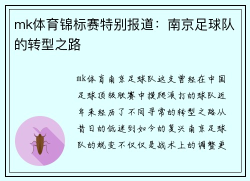 mk体育锦标赛特别报道：南京足球队的转型之路